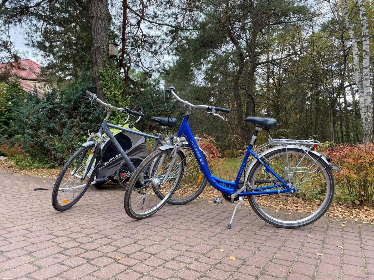 Park Rekreacyjno-Biznesowy Las Woda Wilga Exteriér fotografie