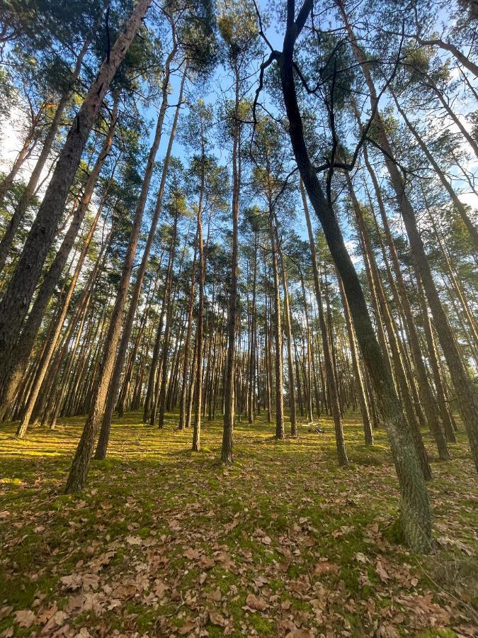 Park Rekreacyjno-Biznesowy Las Woda Wilga Exteriér fotografie