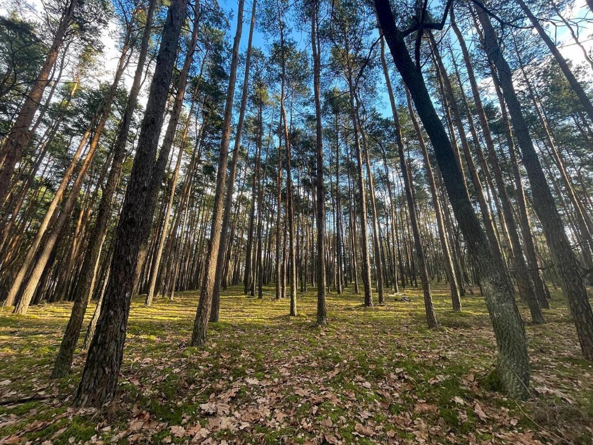 Park Rekreacyjno-Biznesowy Las Woda Wilga Exteriér fotografie