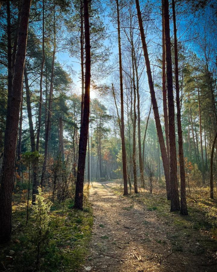 Park Rekreacyjno-Biznesowy Las Woda Wilga Exteriér fotografie